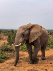 Fototapeta premium xzcxz