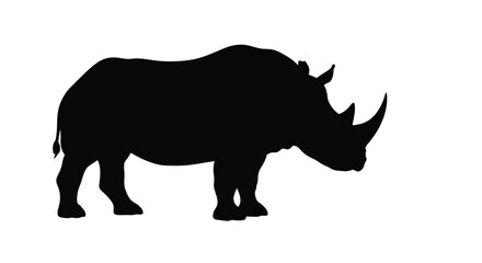 Black rhinoceros stands prominently in a dramatic stark silhouette © MK2.00