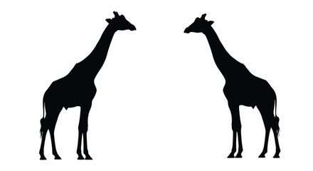 Two giraffes stand facing each other a striking black silhouette © MK2.00