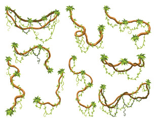 Naklejka premium Liana branch set. Twisted wild jungle vine plants. Woody natural tropical rainforest, exotic botany element. Vector design element
