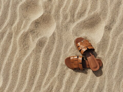 Summer Pause on Warm Sand