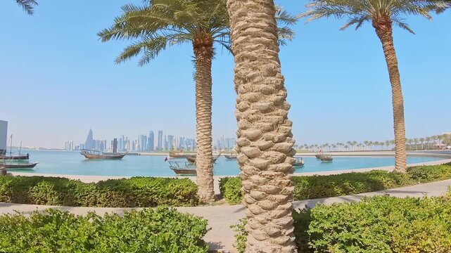 Doha, Qatar - 16th january, 2026: Doha MIA Park Corniche waterfront with palm trees traditional dhow boats skyline view filmed from moving shuttle urban leisure transport real estate lifestyle