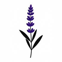 A Single Stalk Of Purple Lavender With Dark Green Leaves Isolated On A White Background
