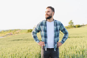 Satisfied agronomist smiling and inspecting growing wheat field before harvest