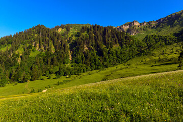 Fototapeta premium Das Bregenzerwaldgebirge in der Gemeinde Egg in Vorarlberg