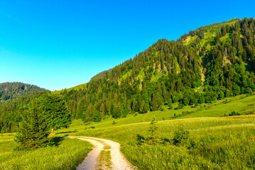 Das Bregenzerwaldgebirge in der Gemeinde Egg  in Vorarlberg