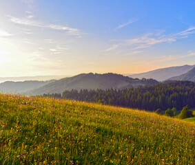 Das Bregenzerwaldgebirge in Schetteregg-Amagmach (Gemeinde Egg) in Vorarlberg © Ilhan Balta