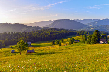 Das Bregenzerwaldgebirge in Schetteregg-Amagmach (Gemeinde Egg) in Vorarlberg