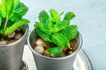 Mint Julep in the Kentucky Derby classic silver glass, with fresh mint leaves