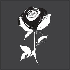 Black rose silhouette isolated on white canvas