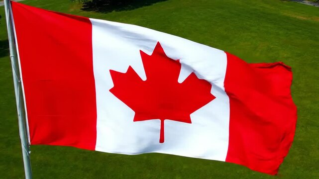 Close-up of a Canadian flag with a red maple leaf waving prominently against a lush green grass background.