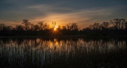 Fototapeta premium Dusky sunset casting long shadows on trees and reeds by a glassy lake
