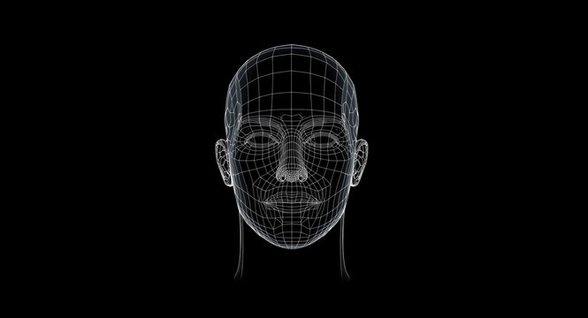 Clean wireframe visualization of a male human head set on black