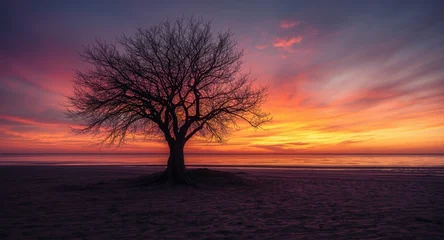 Tableau sur plexiglas Réflexion A single tree standing on sand beach silhouetted by warm sunset tones reflected on sea  © The 2R Artificiality