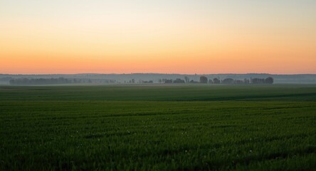 Calm rural vista showcasing green fields and fading daylight