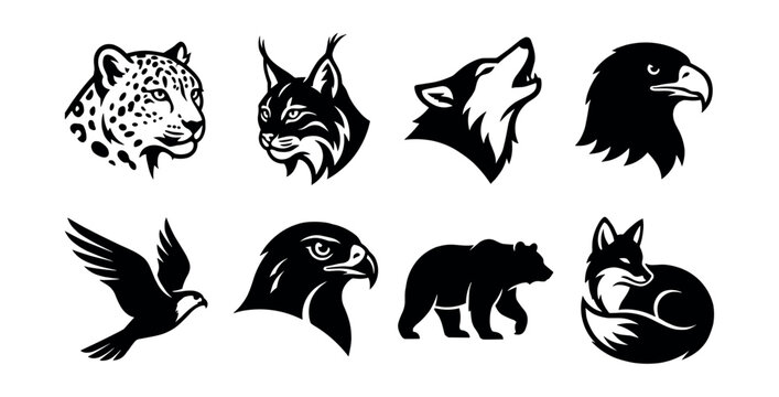 Wildlife animal graphic illustrations set
