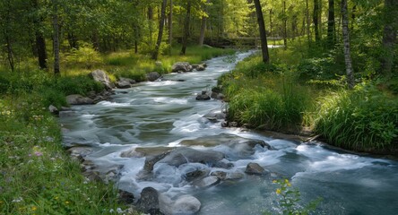 Obraz premium Frozen stream maintaining strong flow through lush woodland in summer