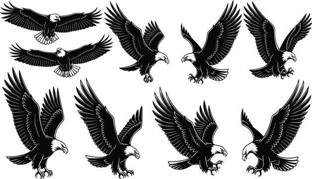 Stylized black and white bald eagle illustrations, dynamic bird flight vector artwork, wildlife predator design collection, patriotic symbol motif, nature drawing set
