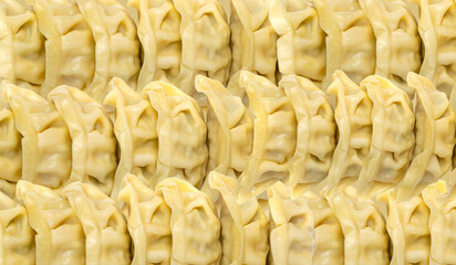 Gyoza chinese dumplings textured pattern