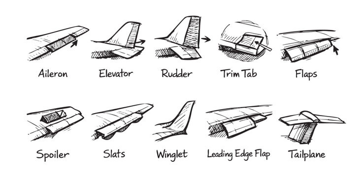 Detailed sketch of airplane parts, including aileron, elevator, rudder, flaps, tailplane, winglet. Great for educational materials, technical illustrations, or aviation enthusiasts.