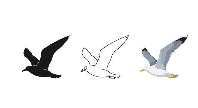 Collection of stylized seagull illustrations featuring a black silhouette a clean line art drawing and a detailed colorful vector graphic design ready for use