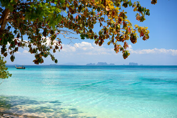 Sea background. Tropical island nature
