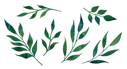 Spring- summer green leaves clip art isolated © Julia
