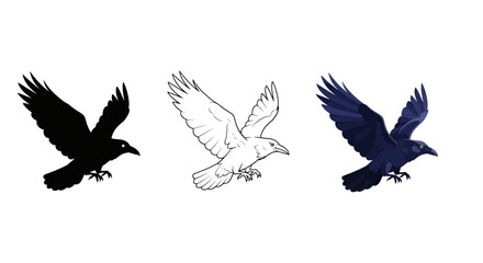 Naklejka premium Collection of three distinct illustrative styles featuring a magnificent black raven captured midflight with wings outstretched against a stark white background