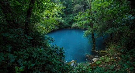 Blue water body in forest visible through heavy green undergrowth