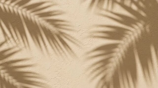 Soft palm leaf shadows cast on a textured beige wall, evoking a tropical summer atmosphere.