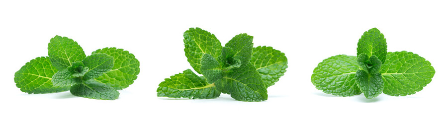fresh green mint leaves isolated on white background. top view. © Pakhnyushchyy