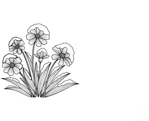 Black and white drawing of flowers with snow-capped petals
