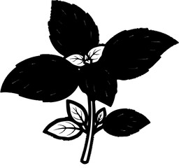 Black and white illustration of a basil plant with prominent dark leaves