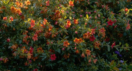 Fototapeta premium Abundant floral bloom signaling the onset of renewal season