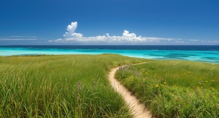 A beautiful path through dense grassy fields leading to the ocean shore