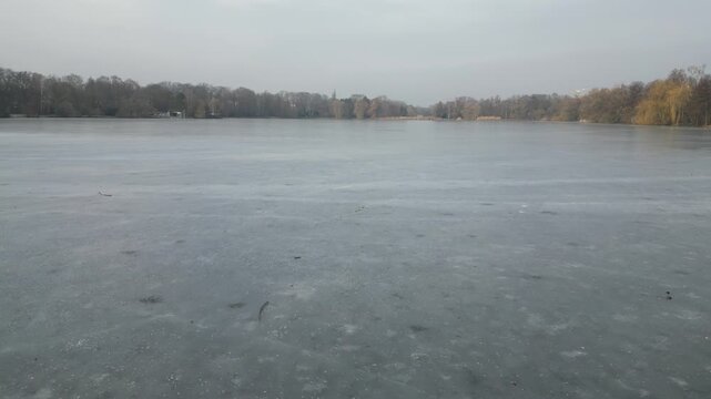 Zwickau Swan Pond frozen