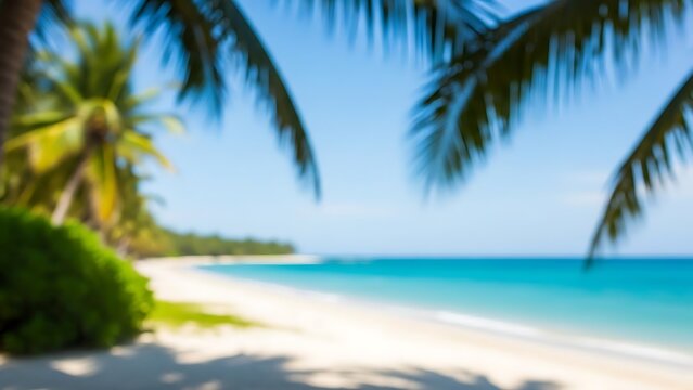 Tropical Beach with Palm Trees and Clear Blue Ocean