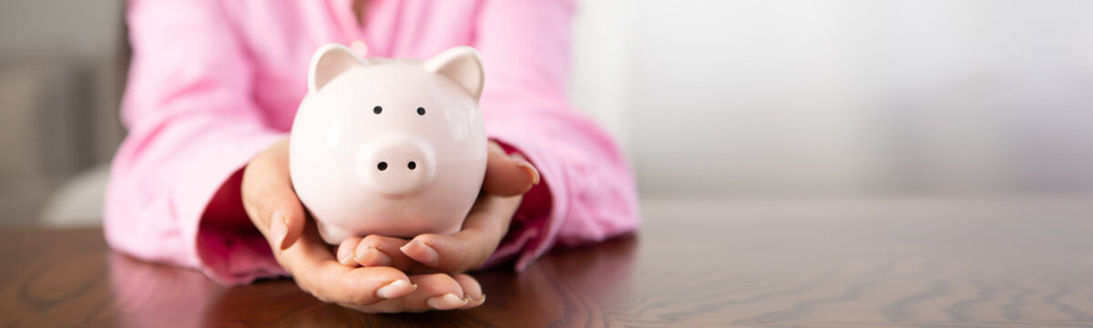 female hands with piggy bank