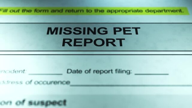 Dramatic Lighting over Generic Missing Pet Report Form