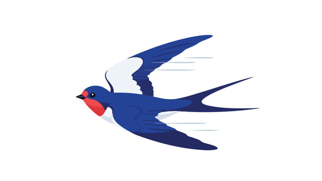 A blue and white bird with a distinctive red face patch flies to the left against a plain white background.