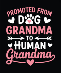Promoted From Dog Grandma To Human Grandma Funny T Shirt