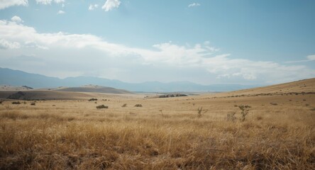 Fototapeta premium Calm and quiet vast field under a soft cloudy blue sky with dry brownish and yellowish ground