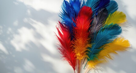 Artistic presentation of vibrant feathers on white surface for colorful design