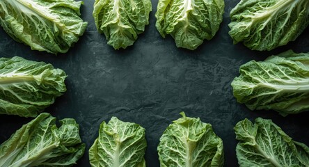 Fototapeta premium Fresh savoy cabbage leaves spread on a dark textured background with copy space for menu cards