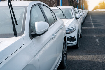 Row of White Sedans Parked on Urban Street