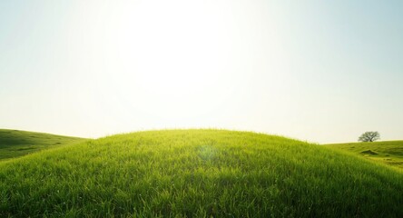 Obraz premium idyllic grassy knoll illuminated by radiant sky with no clouds