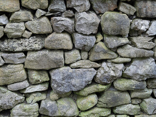 Fototapeta premium Historic green dry stone wall