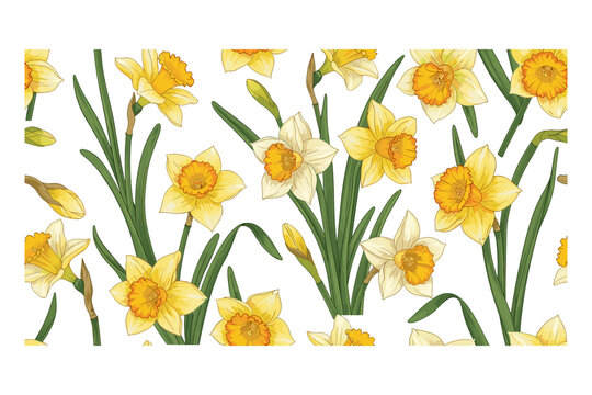Daffodils and narcissus flowers bloom brightly in a vibrant seamless pattern illustration, perfect for spring, Easter, and floral designs.