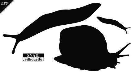 snail silhouette isolated on white background with logo text space, featuring a clean black shape symbolizing nature, patience, simplicity. Ideal for logos, snails vector silhouette icon, snail logo © Usman Tahir Isolated