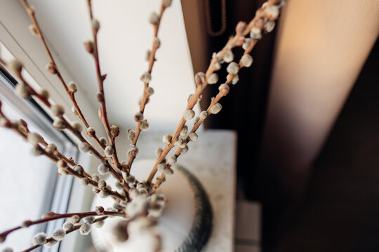 Pussy willow branches in a ceramic vase on a windowsill with warm natural light. Cozy minimalist home decor, spring atmosphere, neutral tones and soft focus.